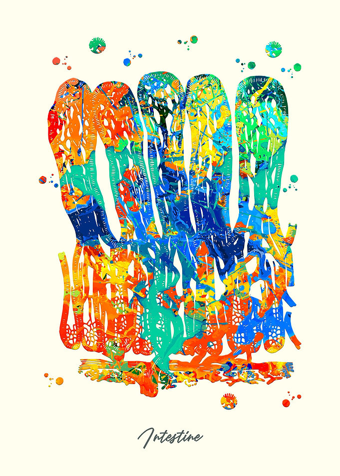 Intestine