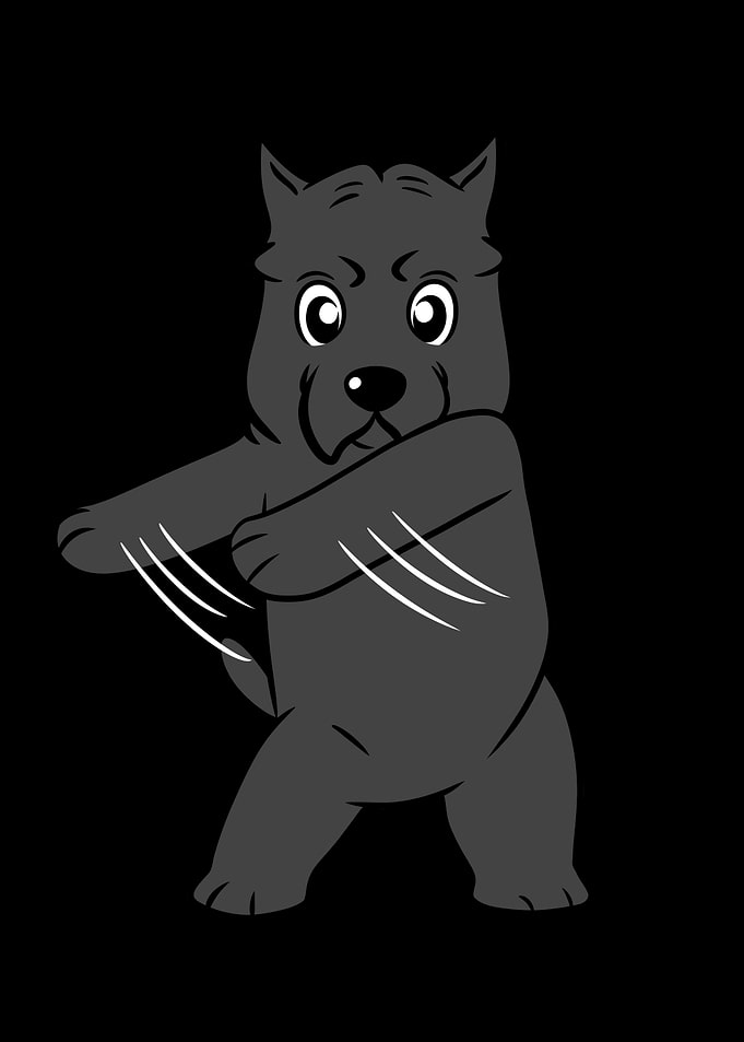 Cane Corso Flossing
