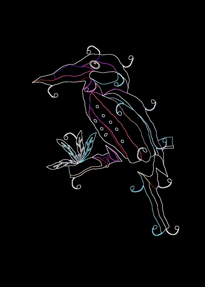 king fisher line art2