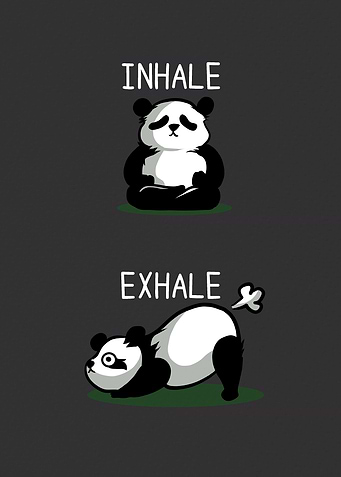 Yoga Inhale Exhale Panda