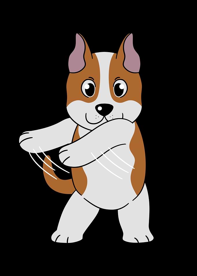 Amstaff Dog Flossing