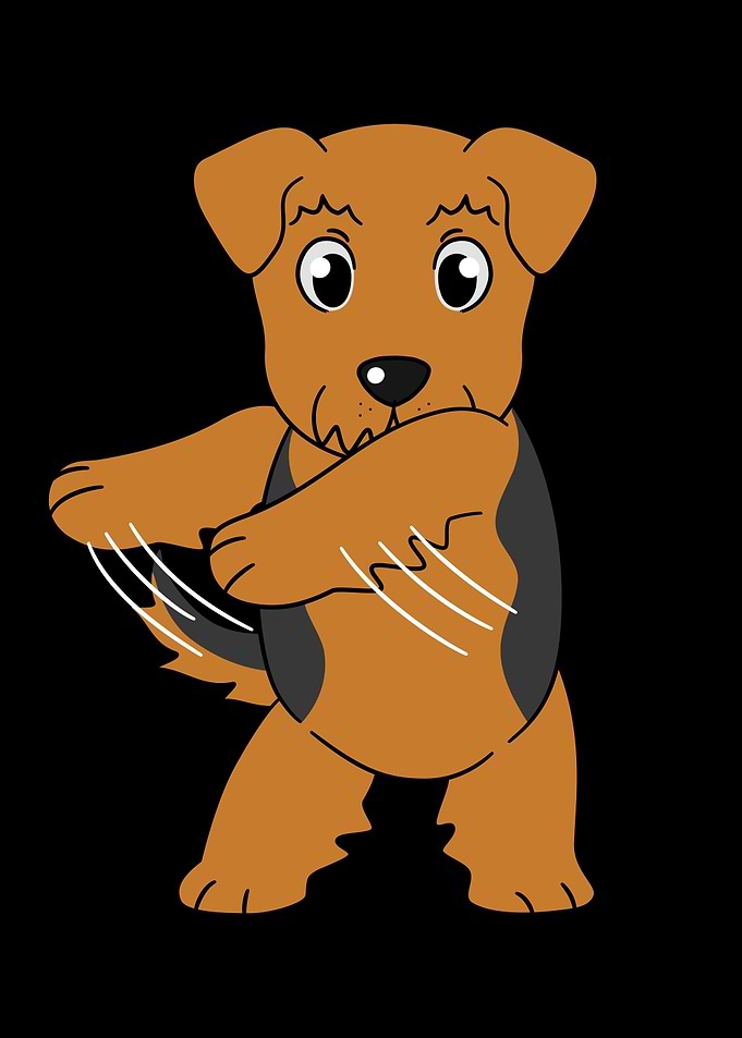 Airedale Terrier Flossing