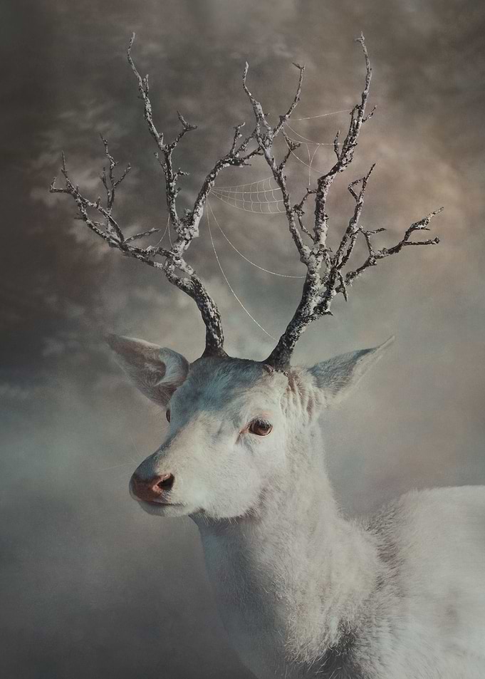Frosted Tines