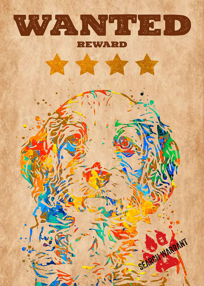 Cavapoo Dog