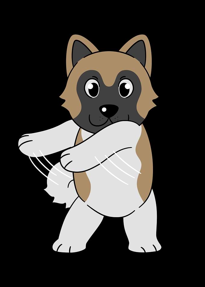 Akita Flossing