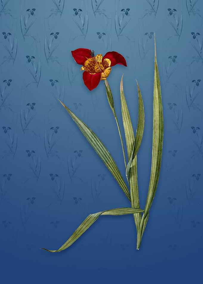 Vintage Tiger Flower