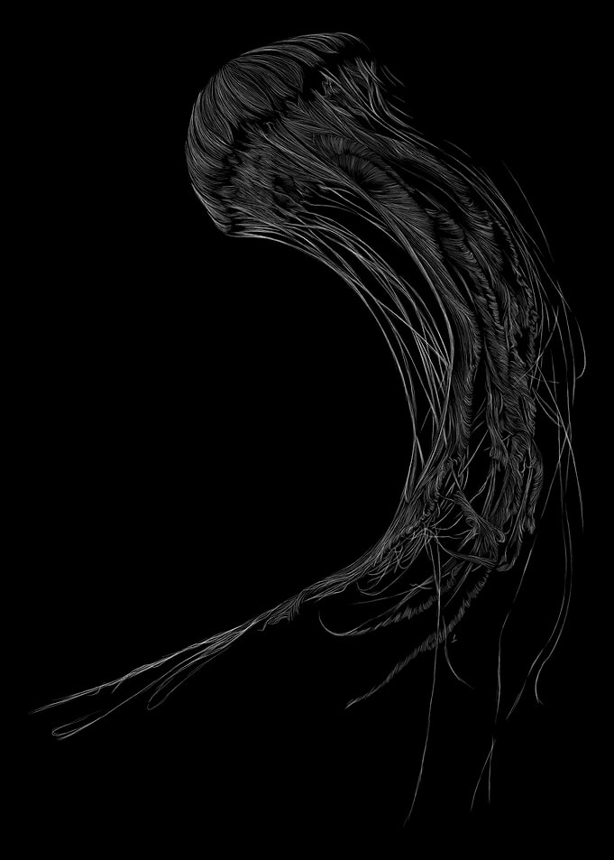 060 Jellyfish