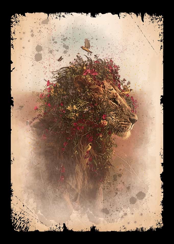 Flower Lion Nature