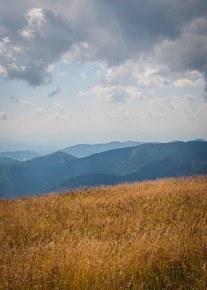 Mountain View Black Forest