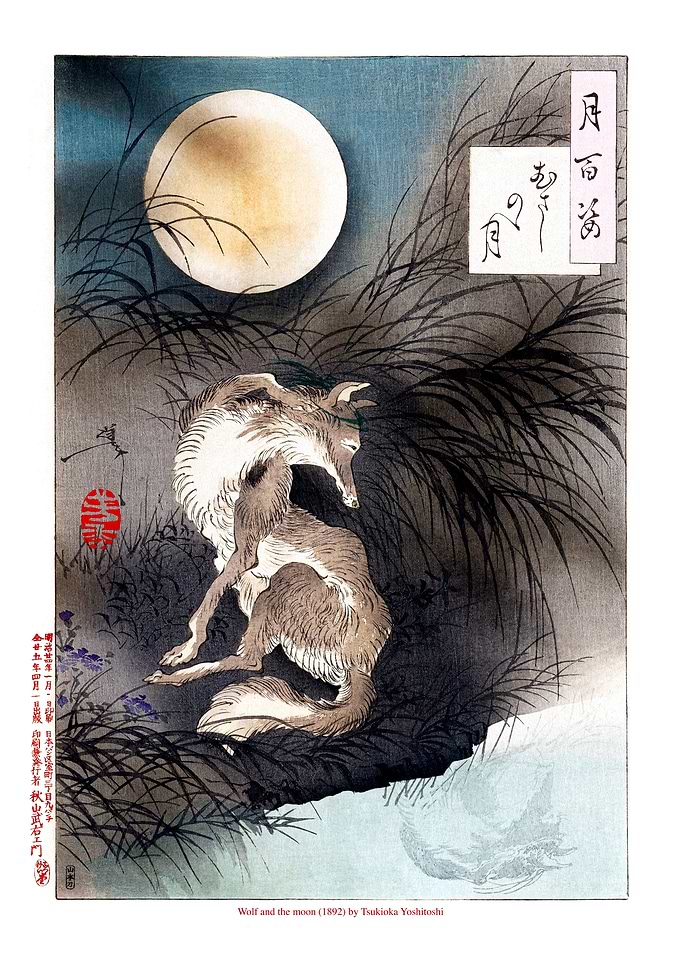 The wolf and the moon