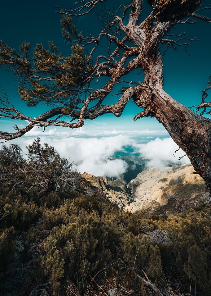 Pico Ruivo