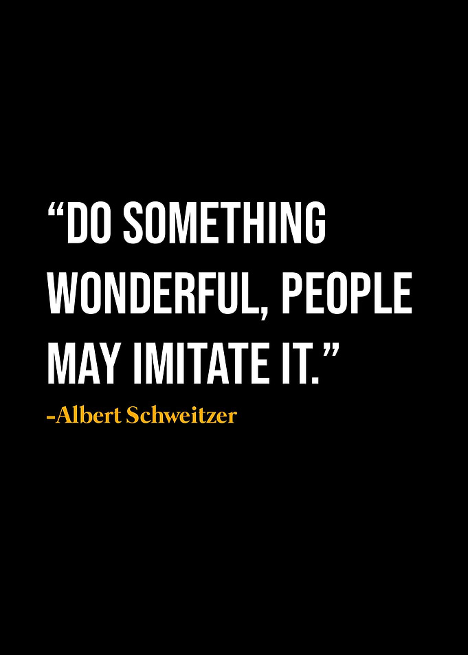 Albert Schweitzer Quote