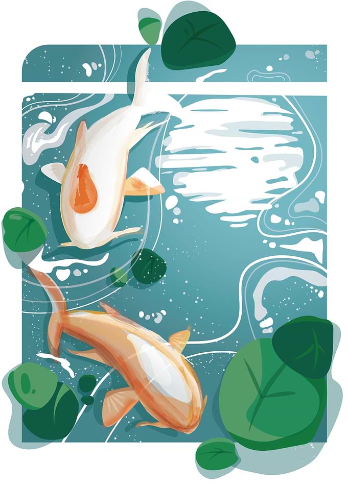 Night at the pond