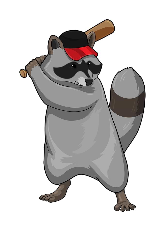 Racoon Baseball