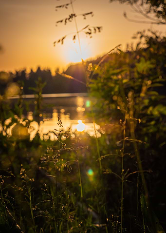 Sunset Lake Side