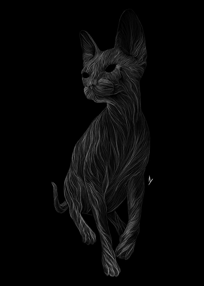 001 Cat