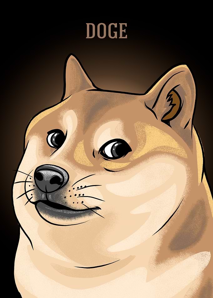 DOGE MEME