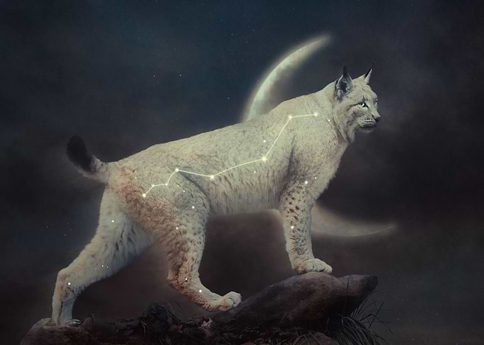 Celestial Lynx