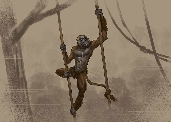 Dryopithecus