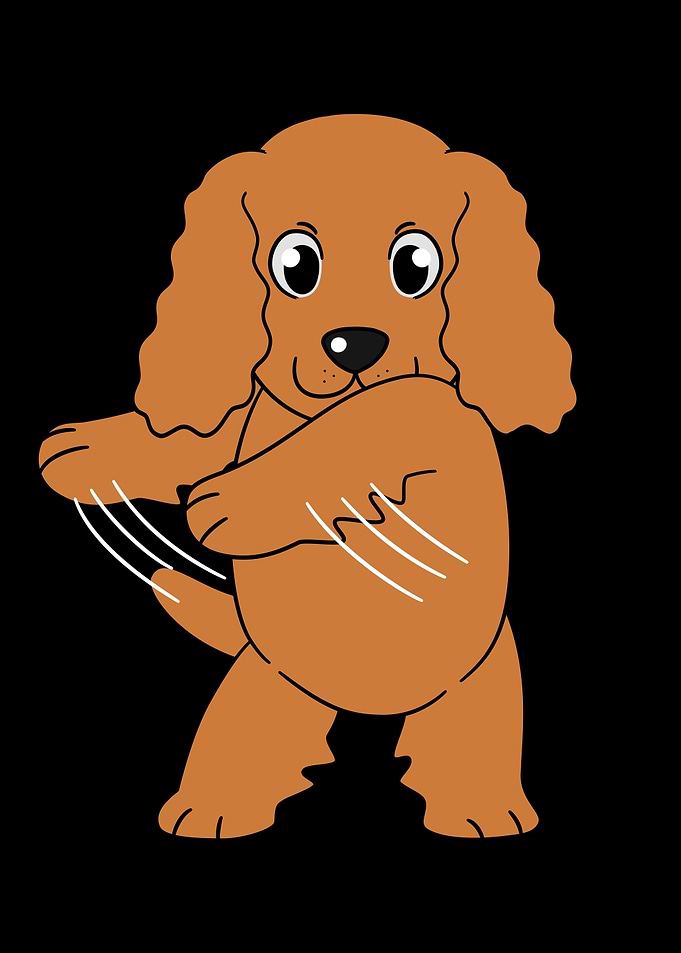 Cocker Spaniel Flossing