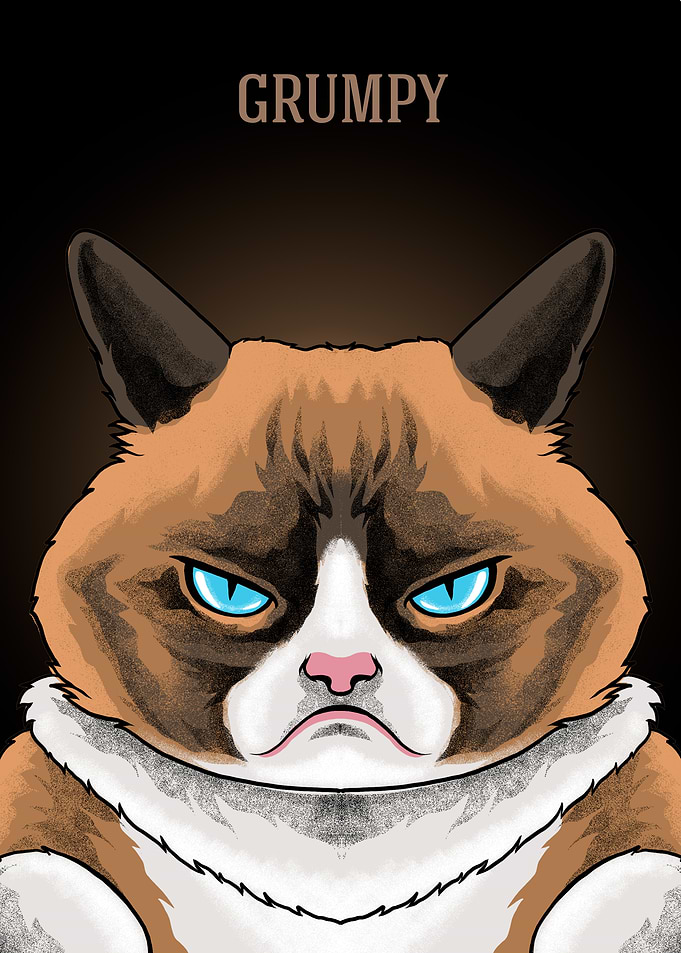 FUNNY CAT MEME
