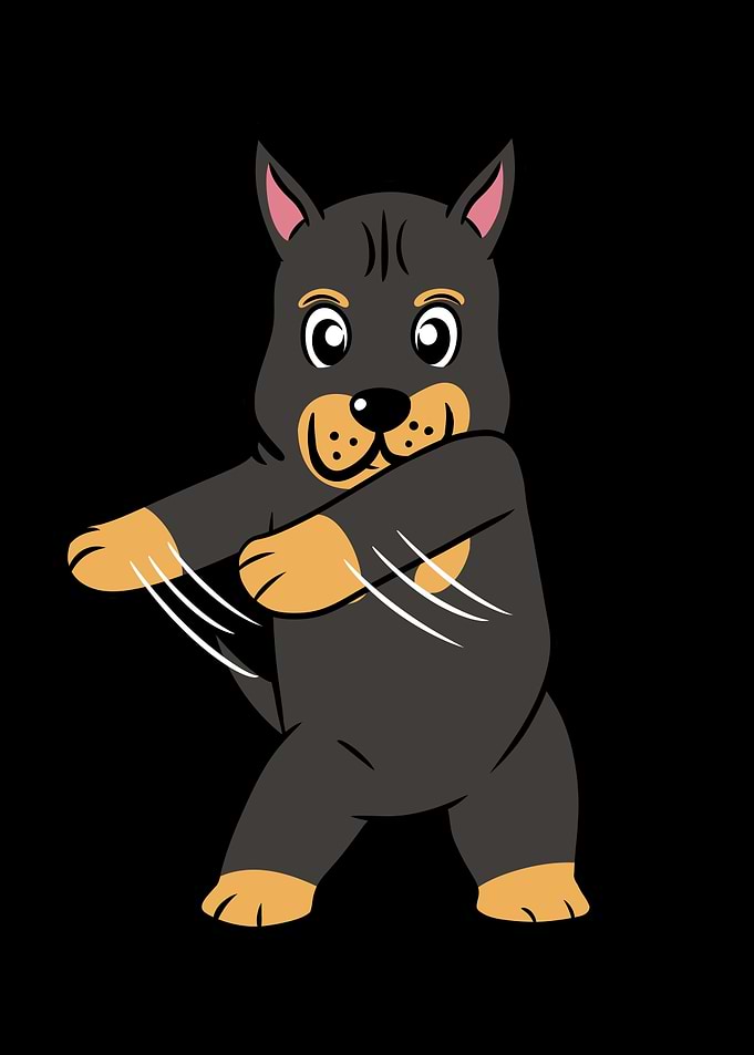 Doberman Flossing