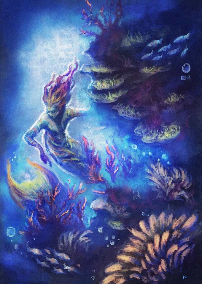 CORAL REEF
