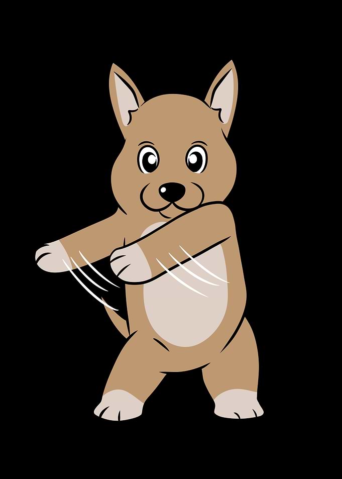 Chihuahua Flossing
