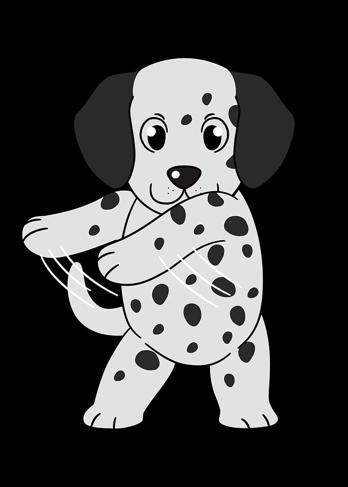 Dalmatian Flossing