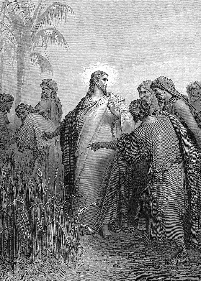 The Disciples Pluck Grain