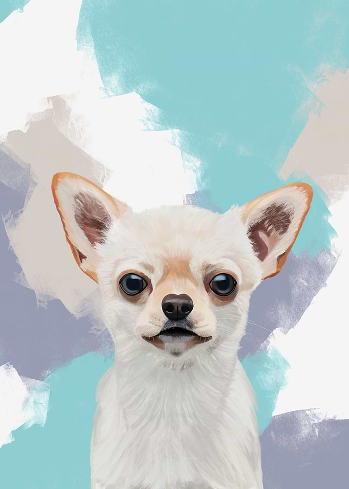 Cute White Chihuahua