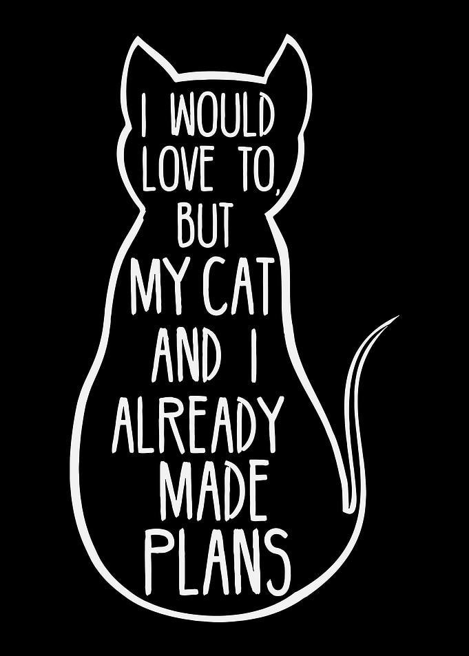 i would love to but my cat