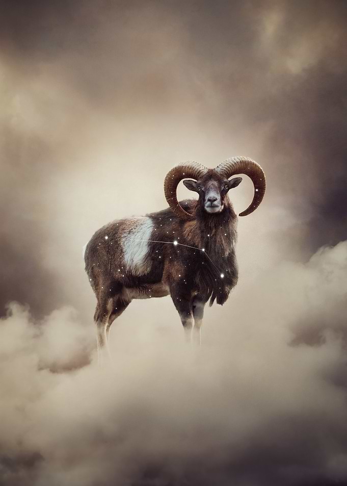 Aries