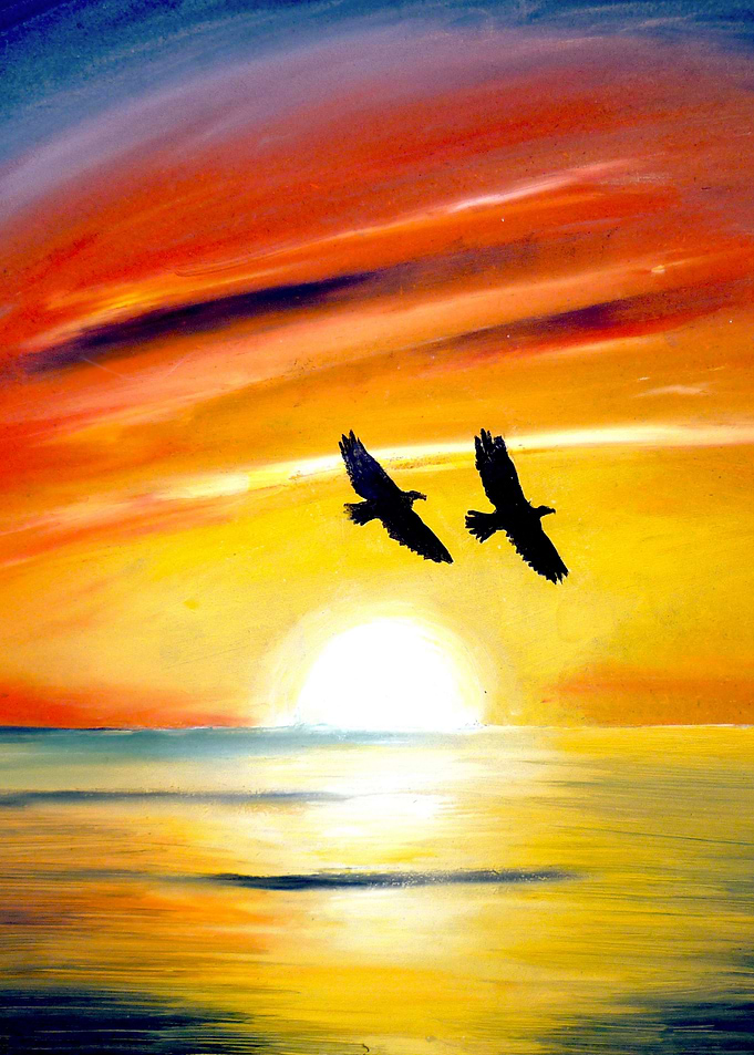 Flying in the Sunset