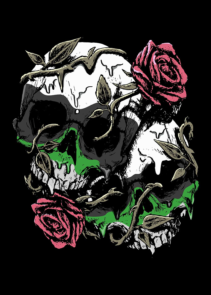 Demiromantic Pride Flag