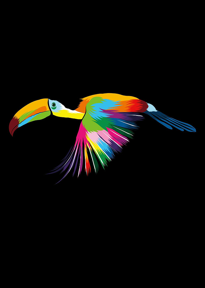 Abstract flying toucan