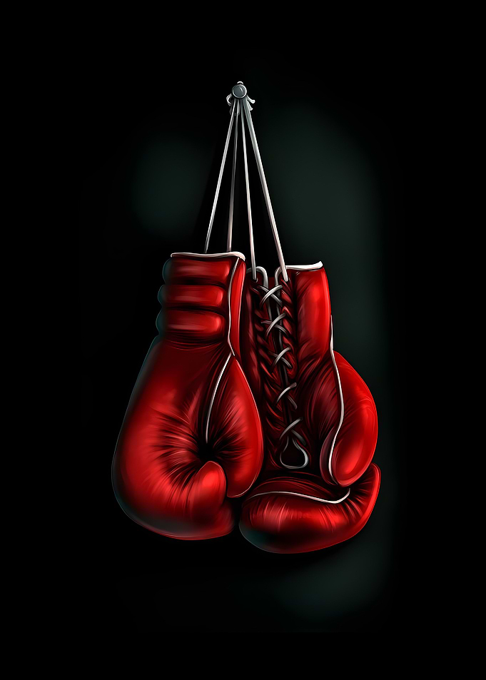 Red Boxing Gloves