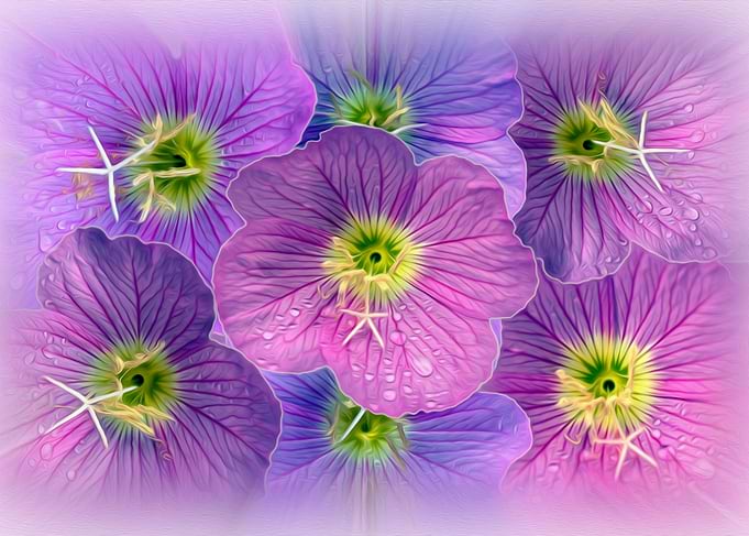 Shades of purple