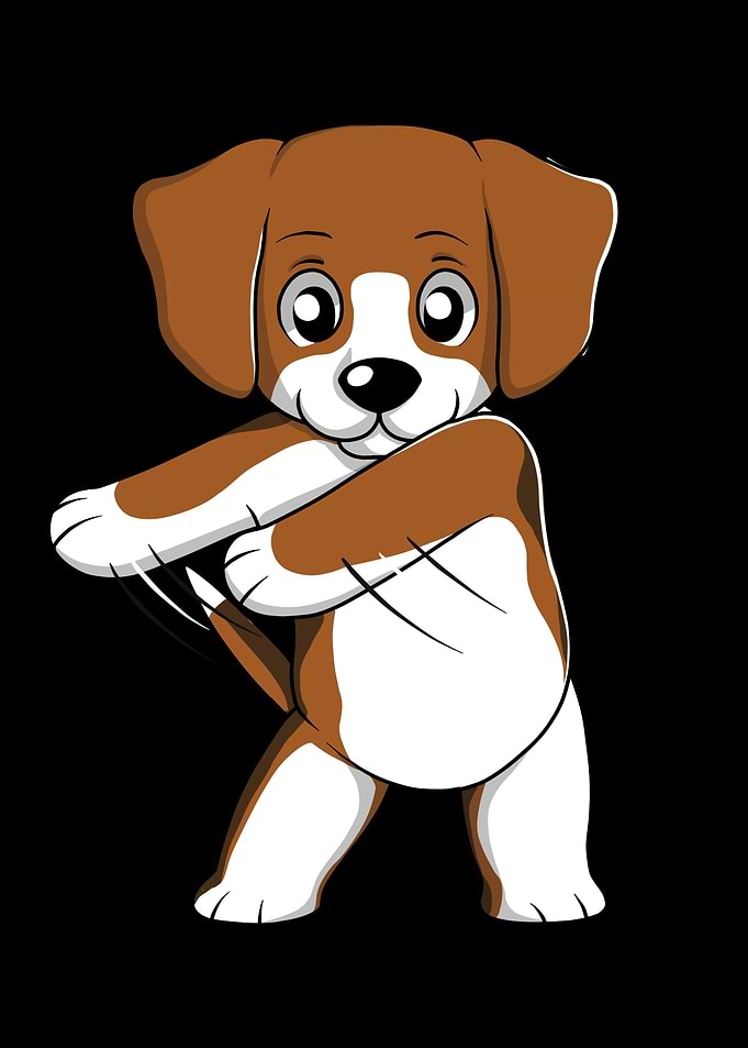 Beagle Flossing