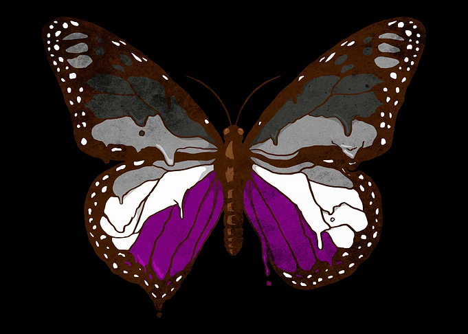 Asexual Pride Ace Flag