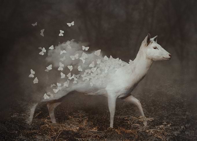 Fleeting