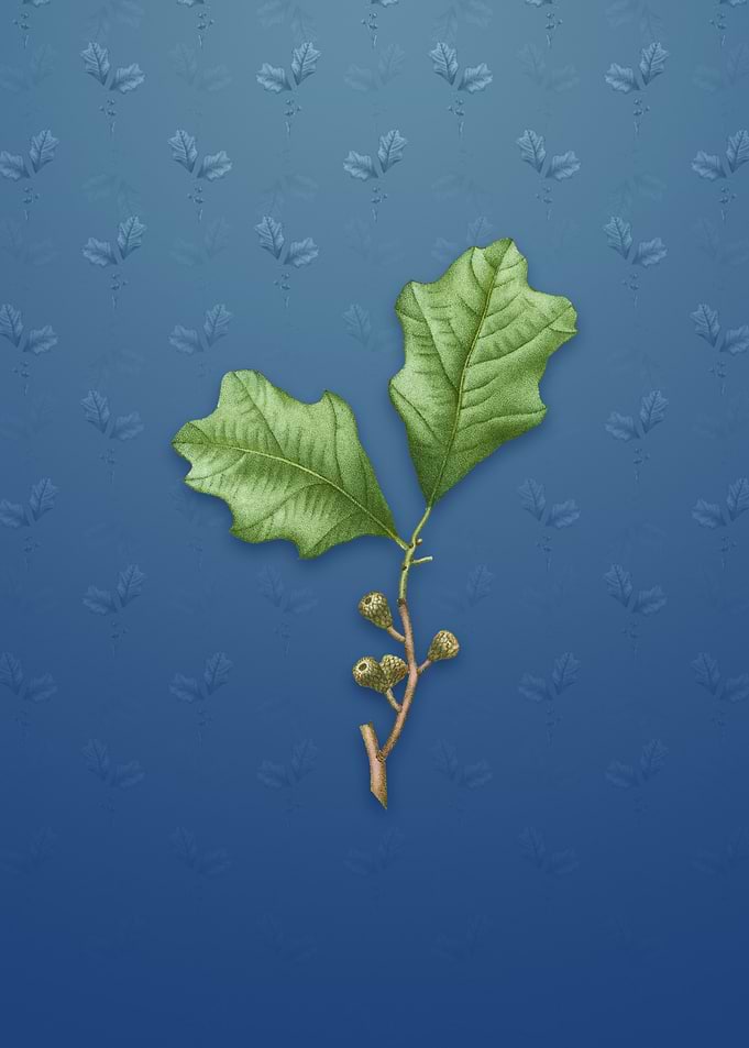 Vintage Bear Oak Leaves