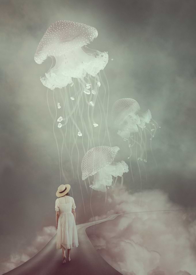 Ascent