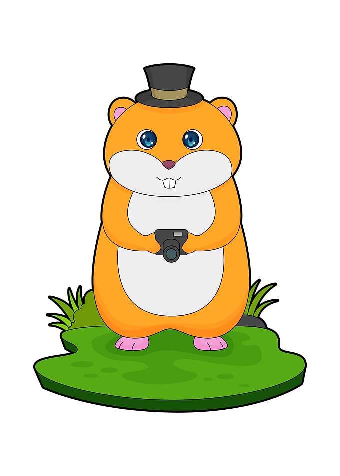 Hamster Photographer