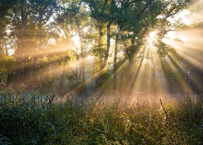 Autumn Beams