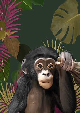 Cute Baby Chimpanzee