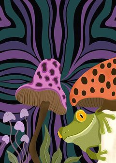 Whimsical Frog and Shrooms