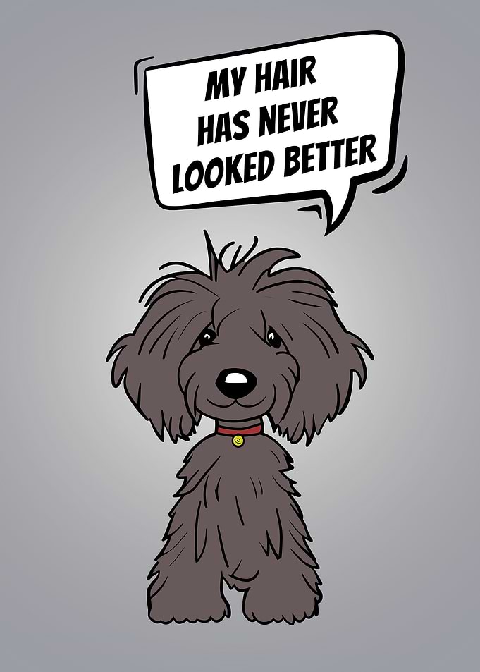 Groomer Customer Says 1