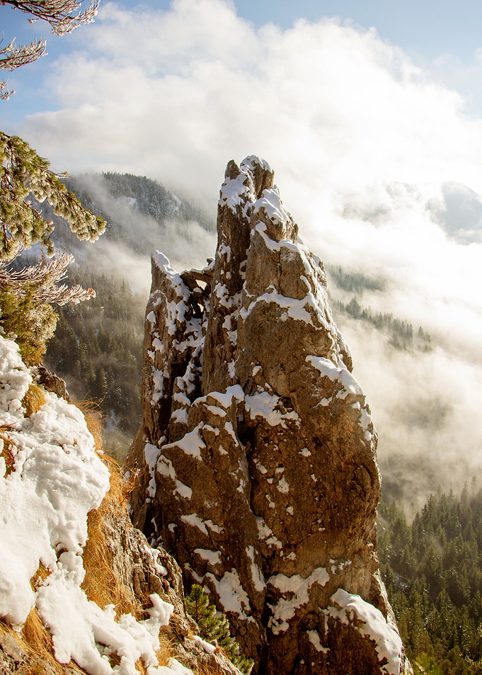 MOUNTAIN