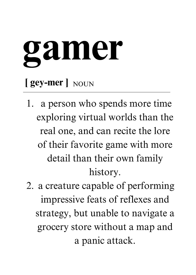Funny Definition Gamer